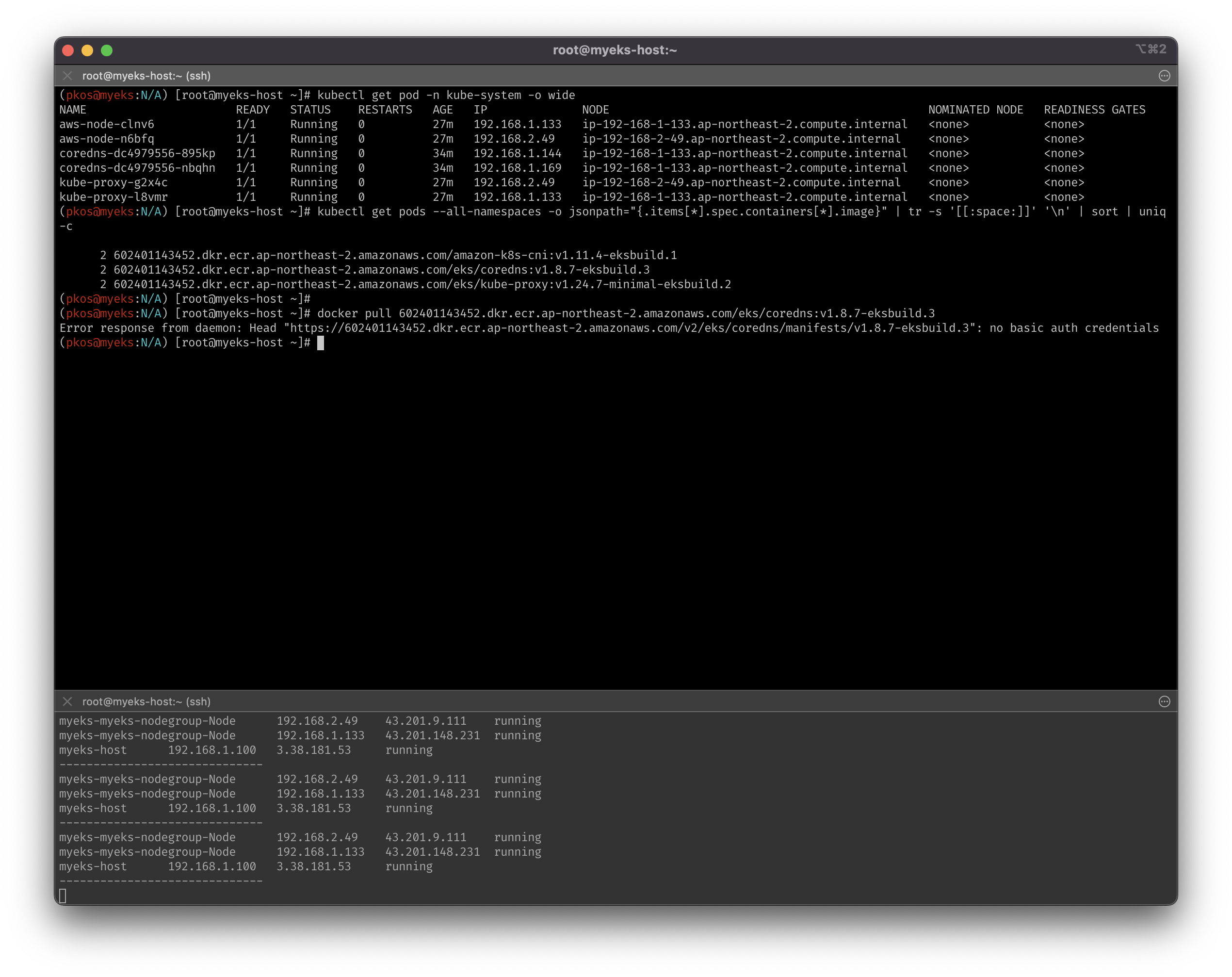 kubectl_pod_check
