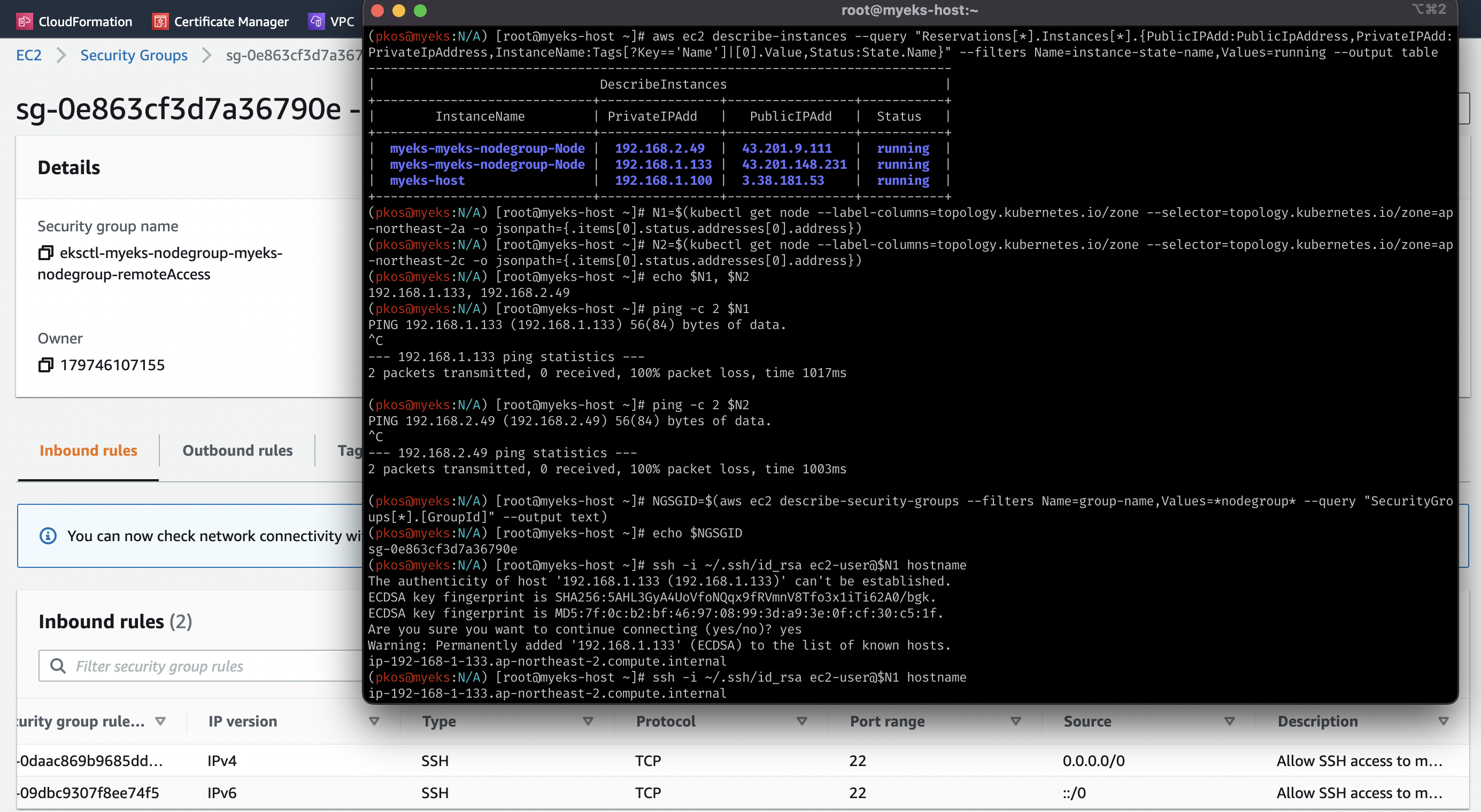 aws_sg_ping