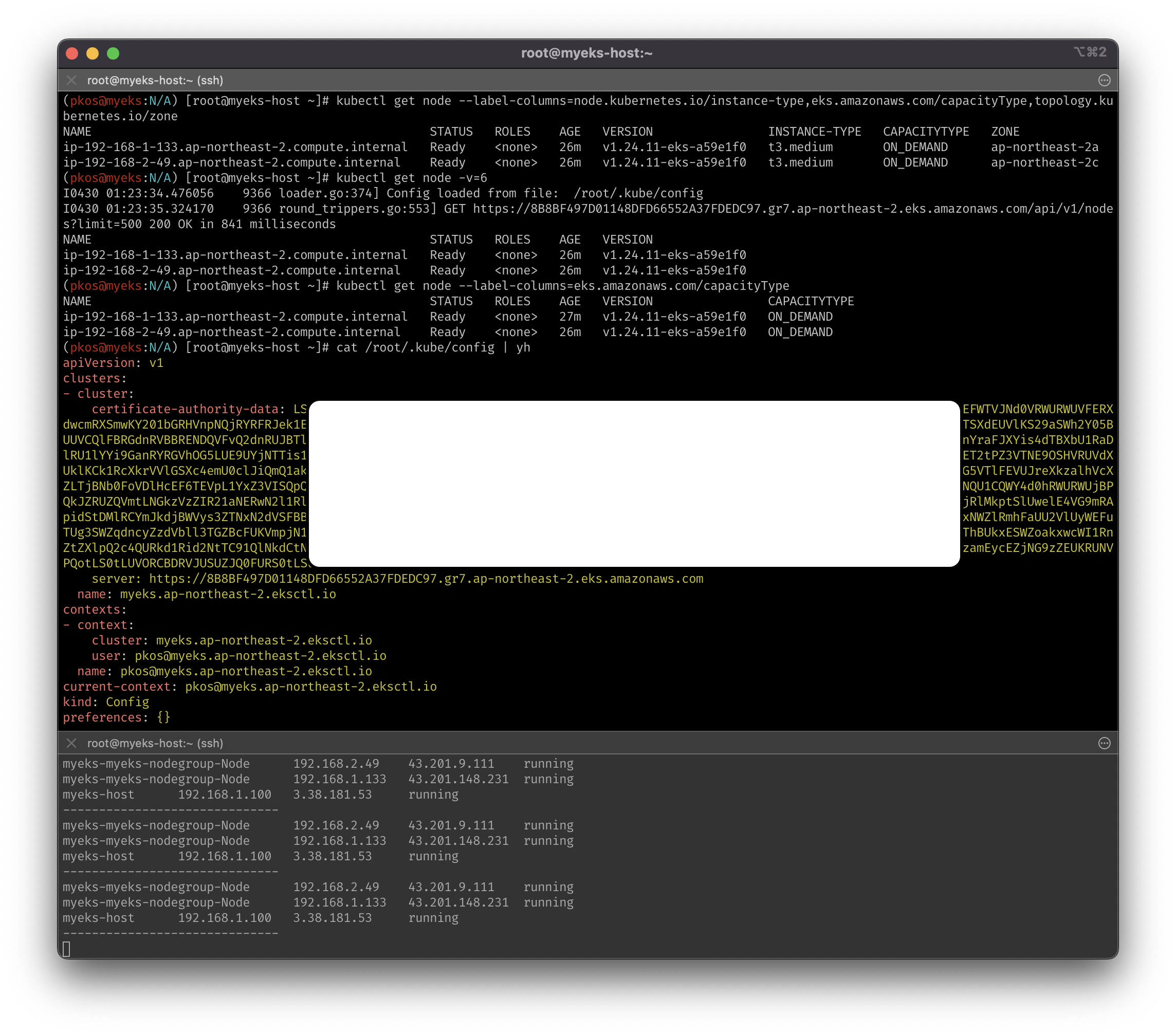 kubectl_instance_type
