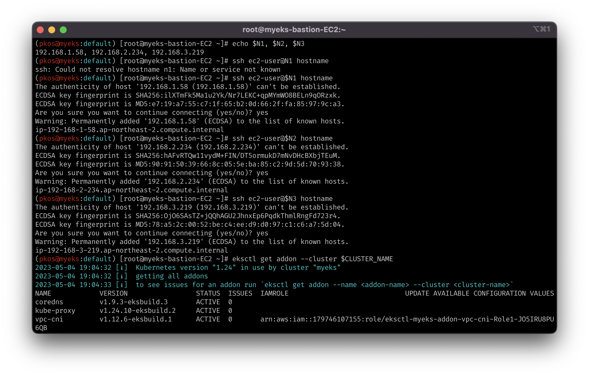 eksctl_addon