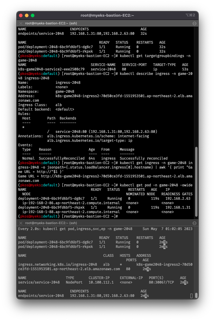 check-ingress-info