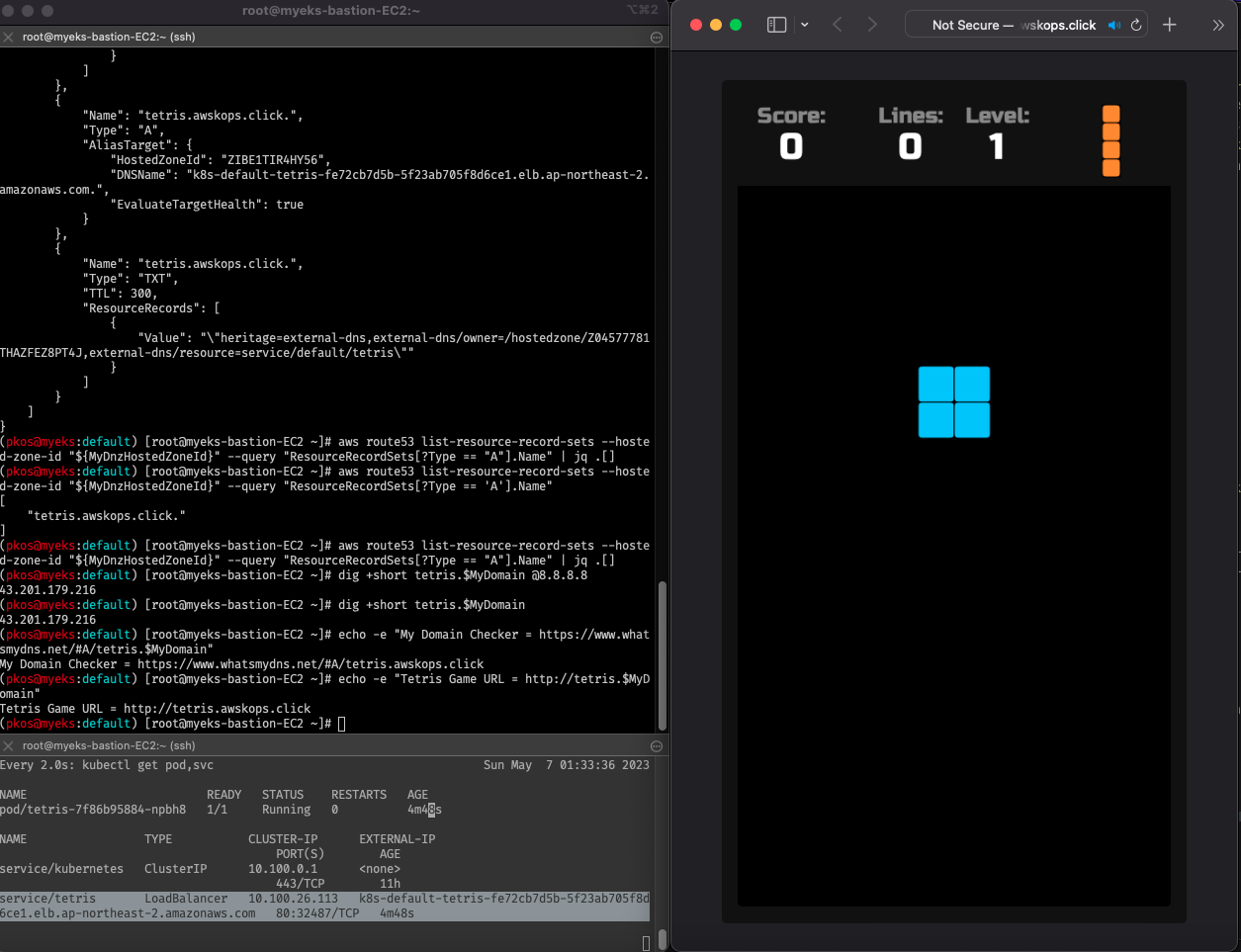 tetris-pod-with-dns