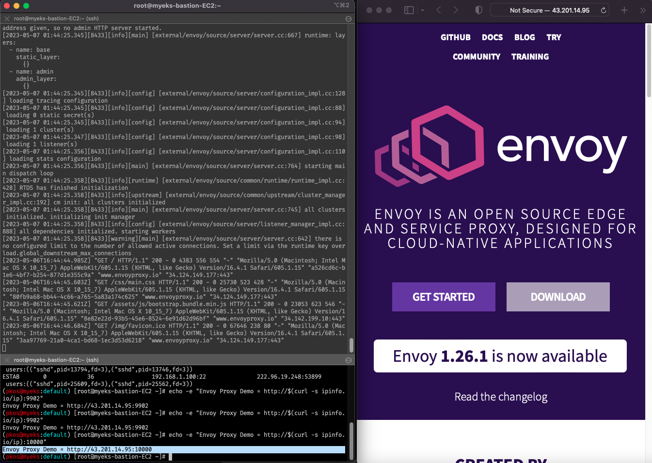 envoy-demo-page