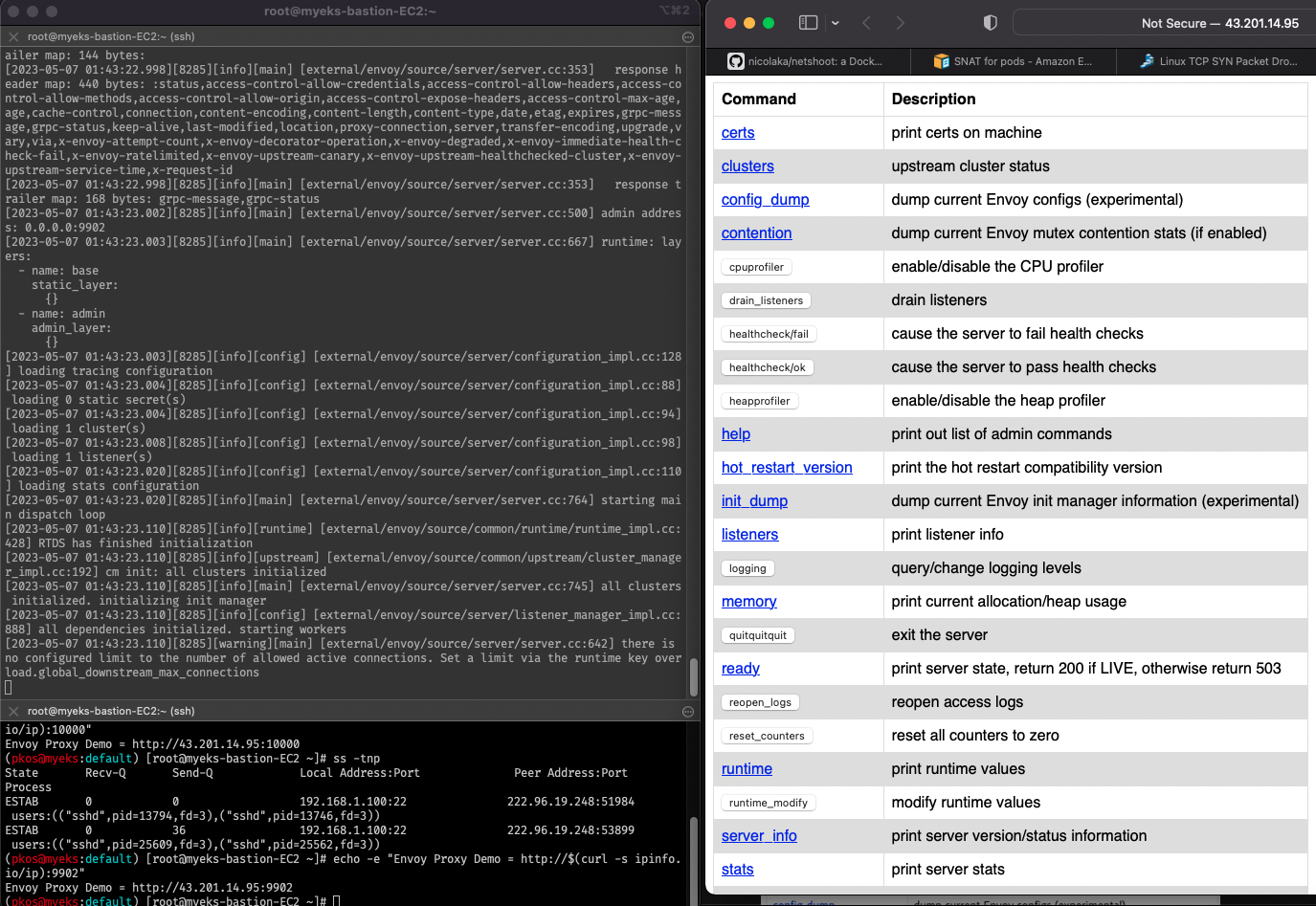 envoy-admin-page