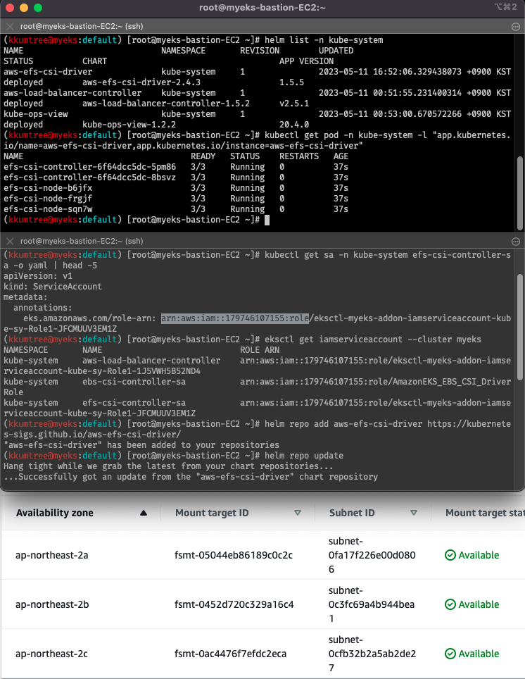 EFS_controller_install_with_customer_managed_policy