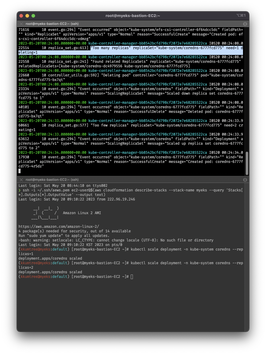 control-plane-logs-with-coredns-replica