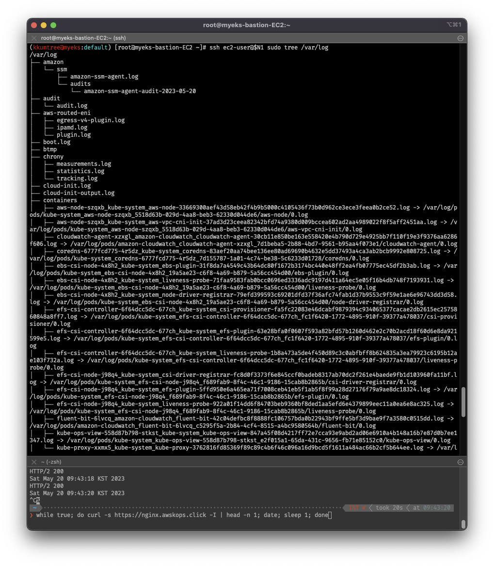 cw-agent-fluent-bit-hostpath-ssh