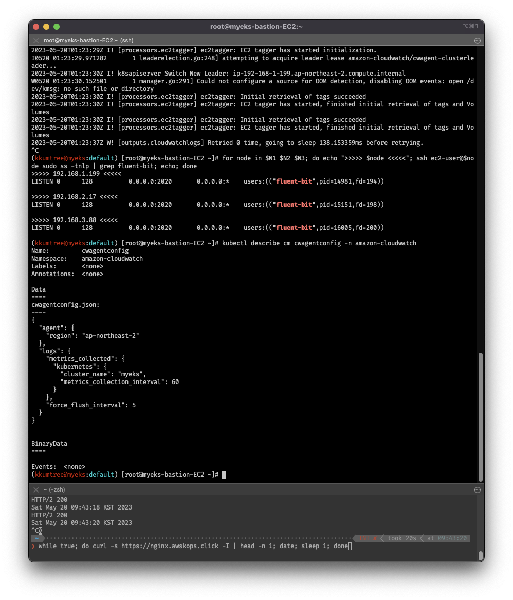 cw-agent-fluent-bit