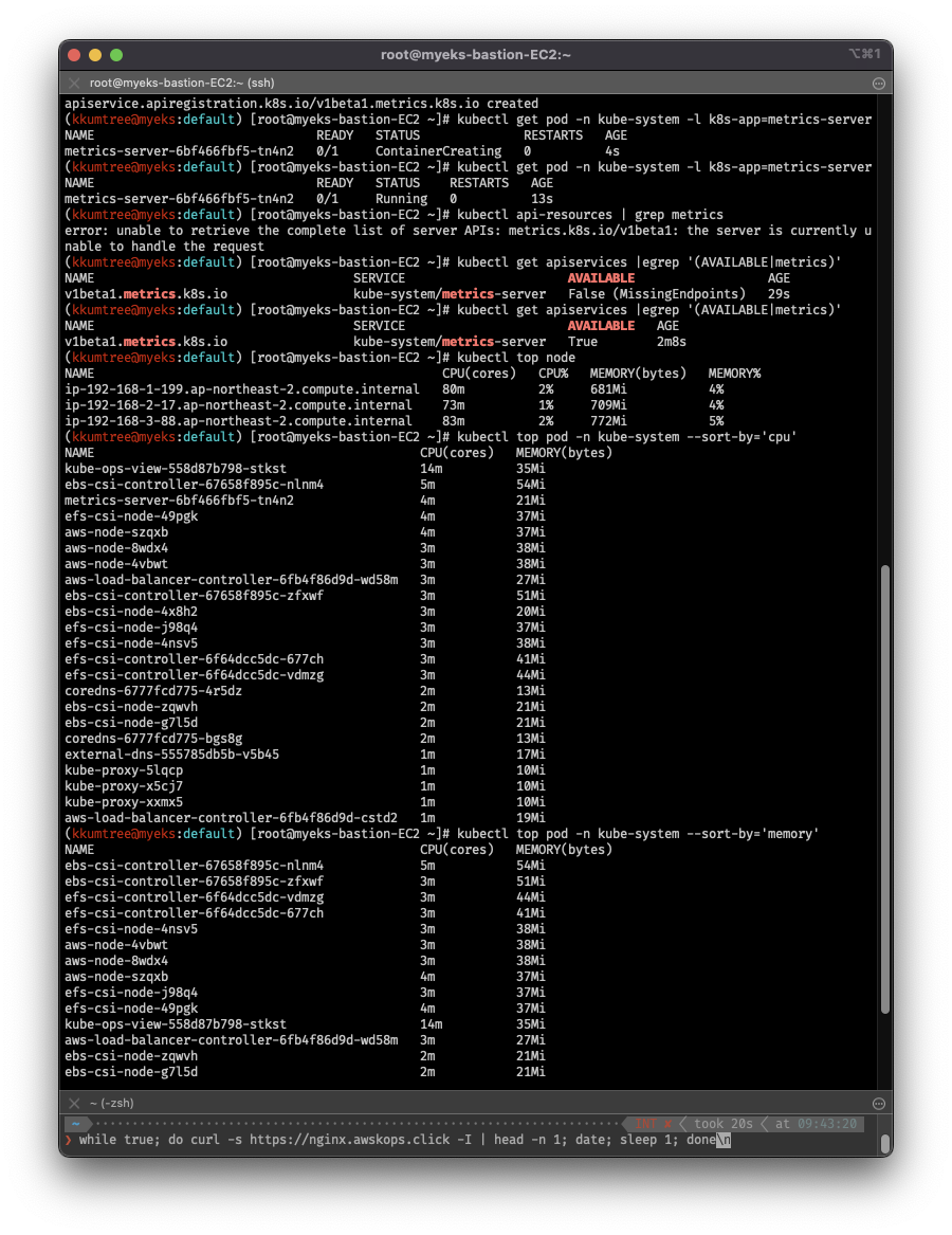 metrics-server