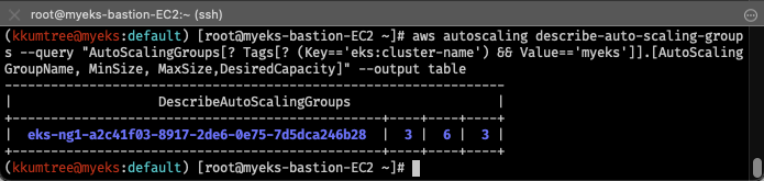 asg-maxsize-after-edit