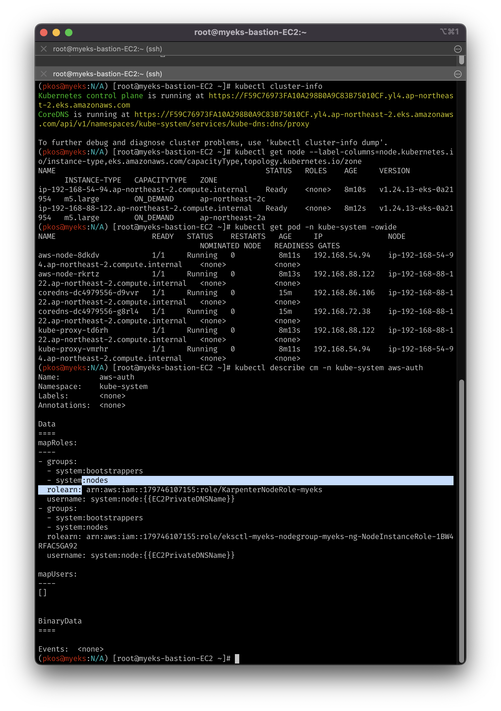 check-auth-mapping-with-aws-auth