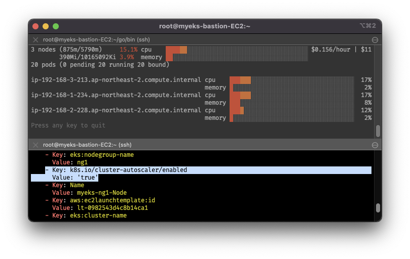check-tagged-already-in-EKS