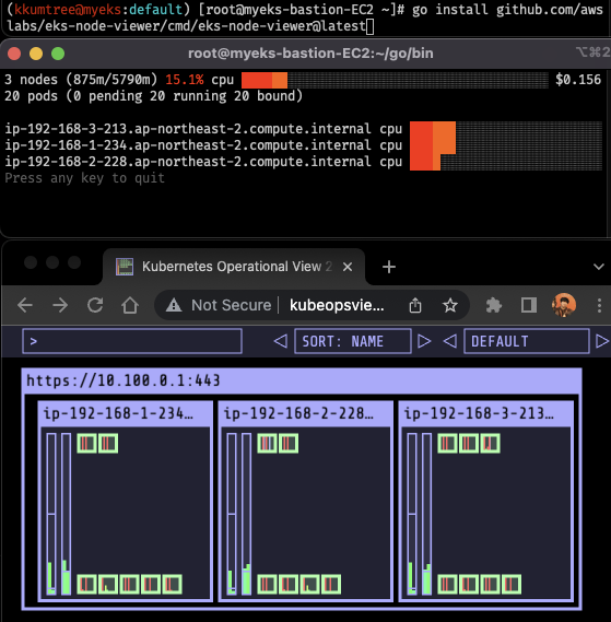 EKS node viewer