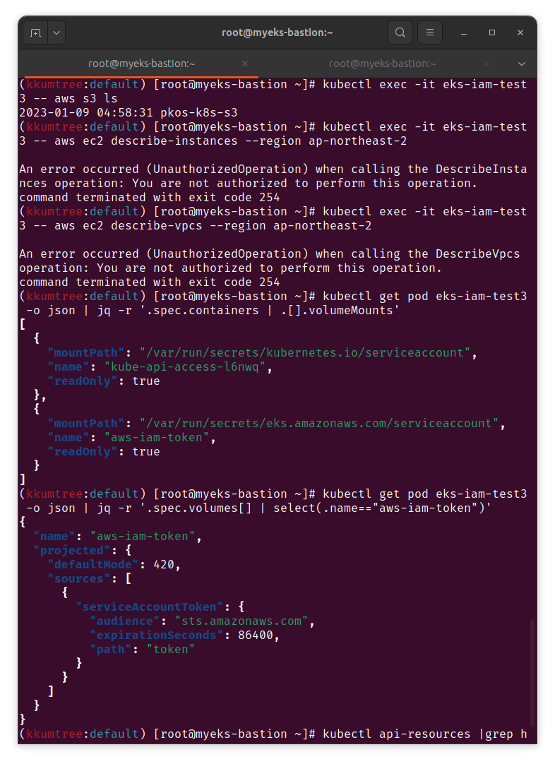 check 2 volumeMounts & aws-iam-token