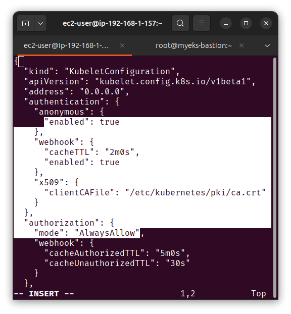 edit kubelet-config with vulnerability