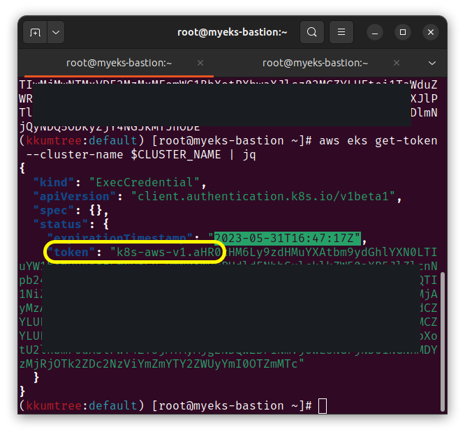token broken when using v1beta1