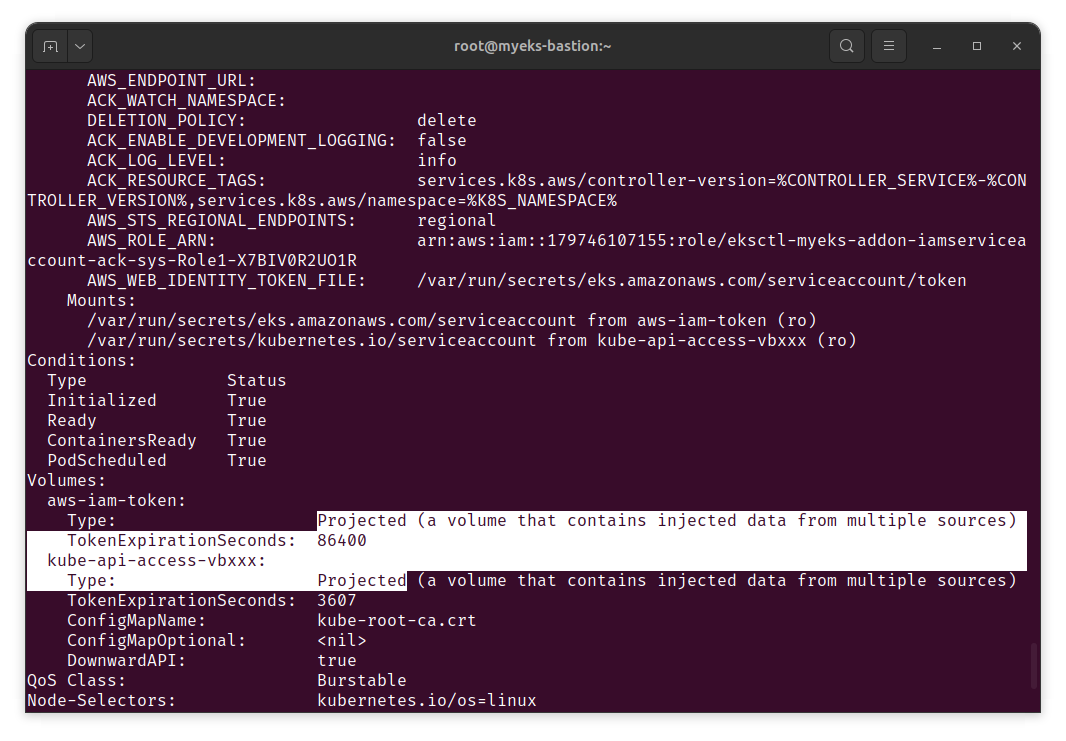 applying IRSA to ACK RDS Controller