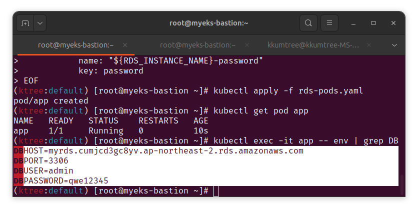 check pod env