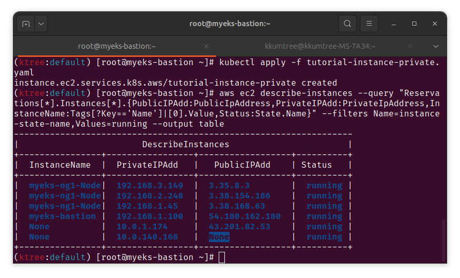 launch instance in Private Subnet