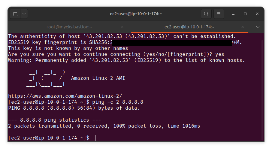 ping test failure without engress rule