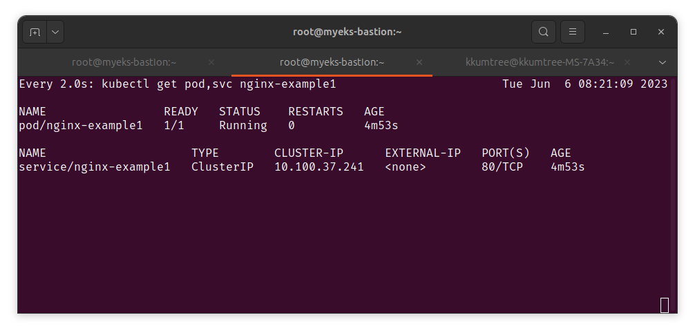 pod and service survived without flux prune option