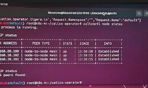 Calico Installation in Operator Mode