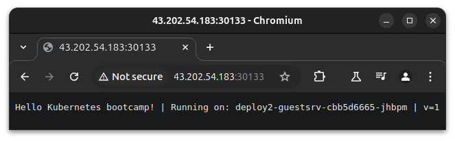 only-nodeport-accessible