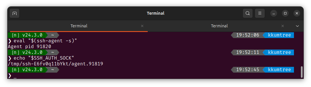 check ssh auth socket