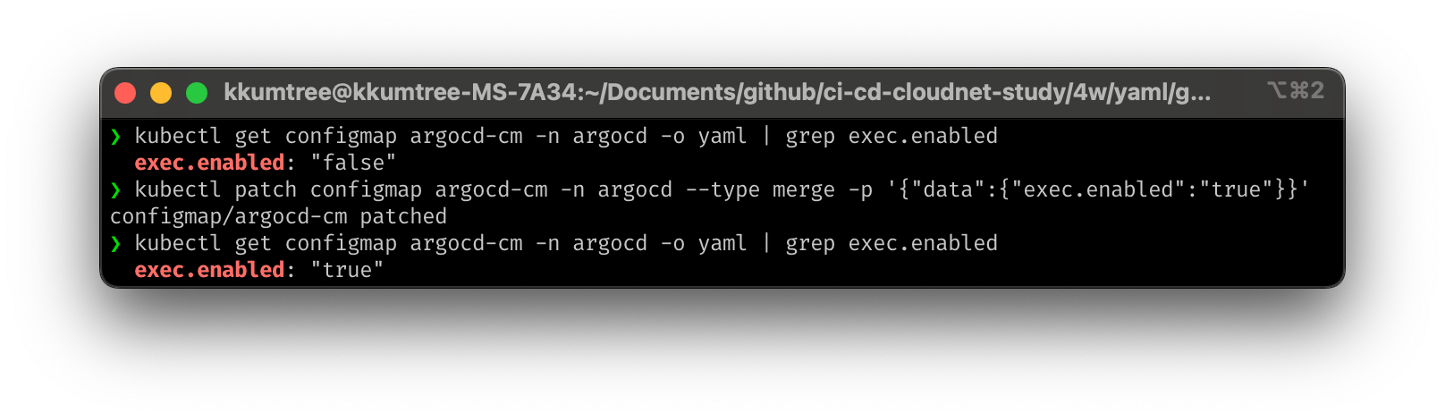 enable exec in argocd-server