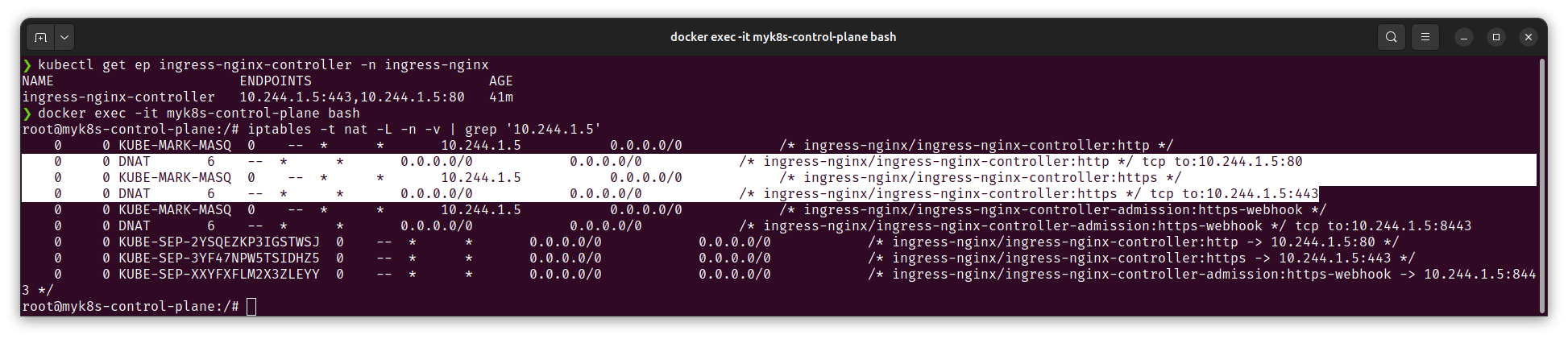DNAT from control plane to ingress