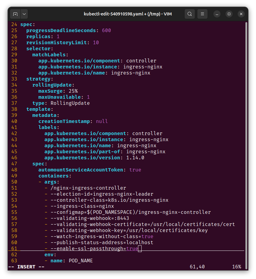 add arg in container spec