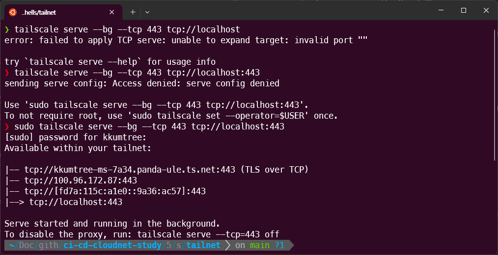 tailscale serve