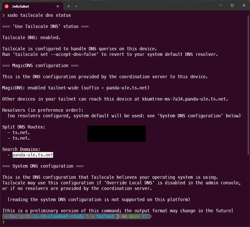 check tailscale dns