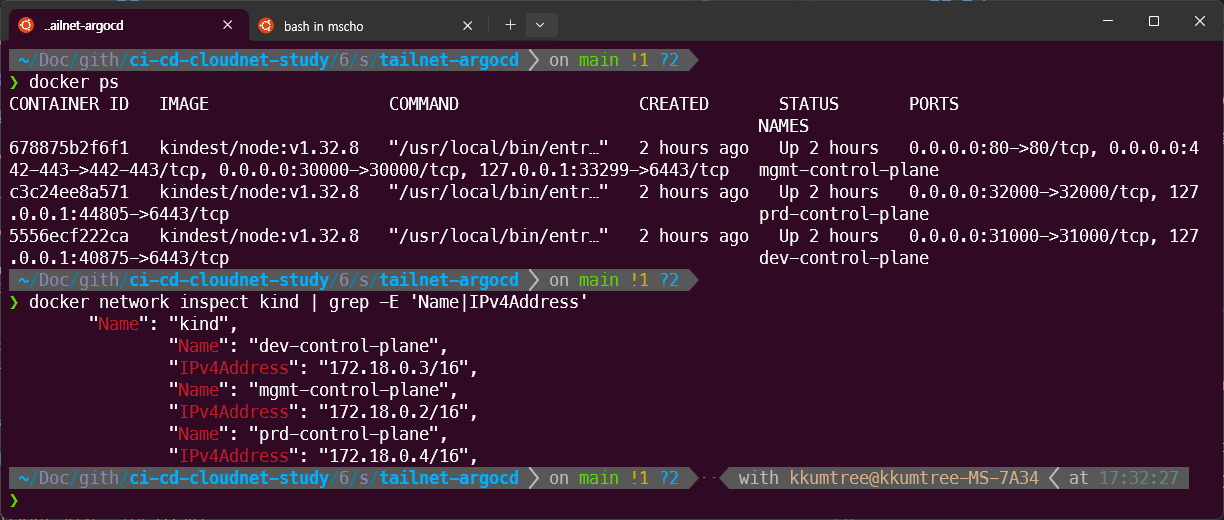 docker network which kind is in-use
