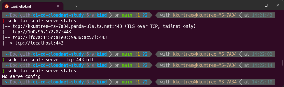 disable tailscale tcp 443 serve